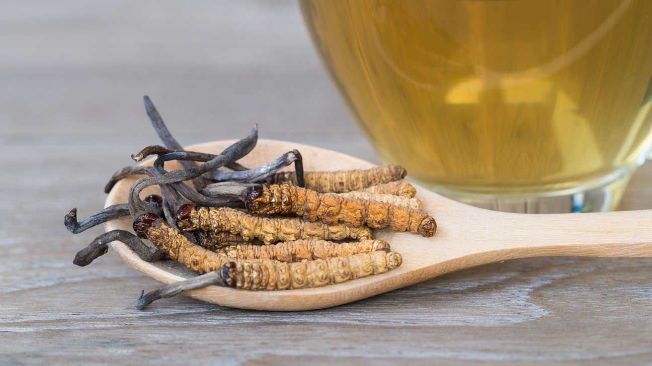 A Cordyceps (vagyis kínai hernyógomba) 5 jótékony hatása a szervezetre