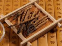 A híres Cordyceps gyógygomba