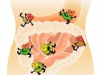 Házi praktikák az emésztőrendszeri problémák otthoni kezelésére