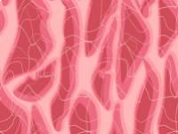 Hogyan növelje természetes módon vére hemoglobin szintjét?