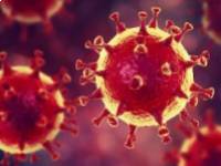 Lehet-e étkezéssel befolyásolni az influenza vagy a korona vírus fertőzés okozta szövődmények kialakulását?