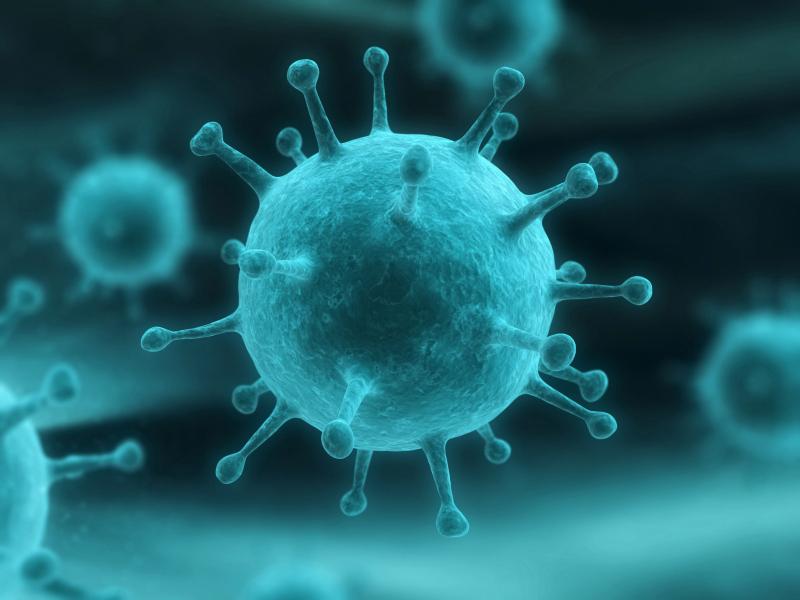 A buggyant tojás és az influenza