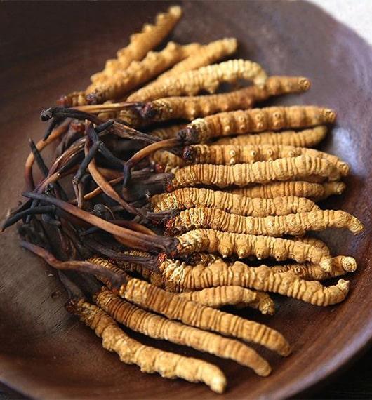 A Cordyceps sinensis alkalmazása rák esetén
