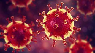 Lehet-e étkezéssel befolyásolni az influenza vagy a korona vírus fertőzés okozta szövődmények kialakulását?